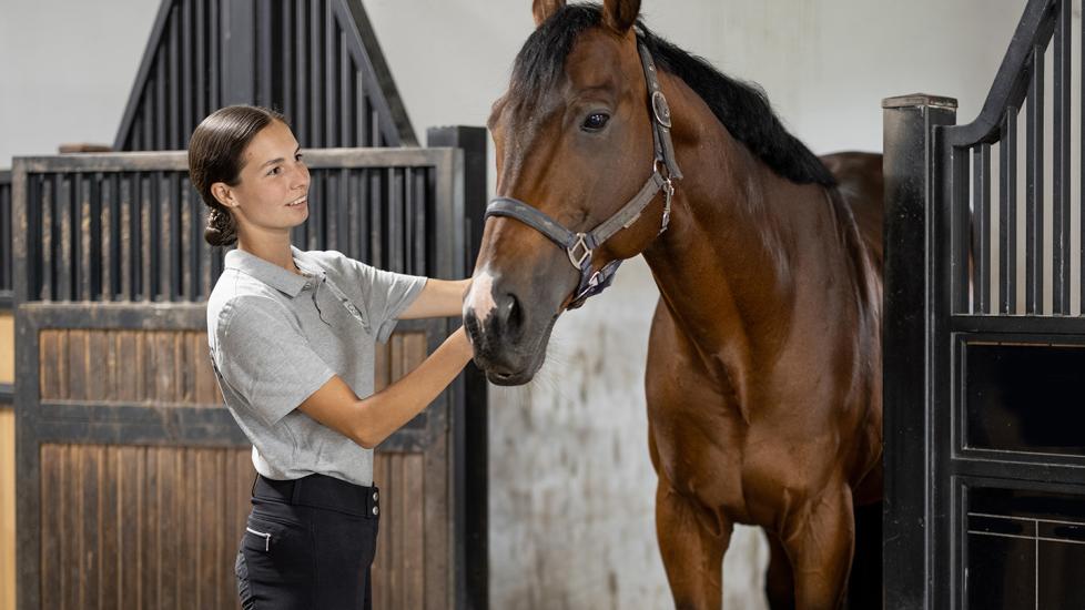 woman feeding her brown horse in stable